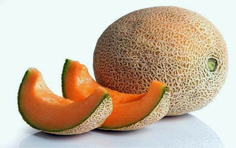 melon-fruits