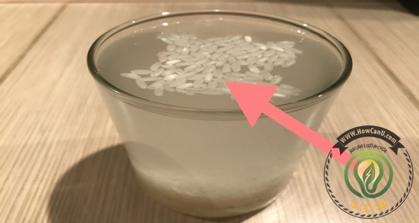 how-to-distinguish-fake-plastic-rice-from-real