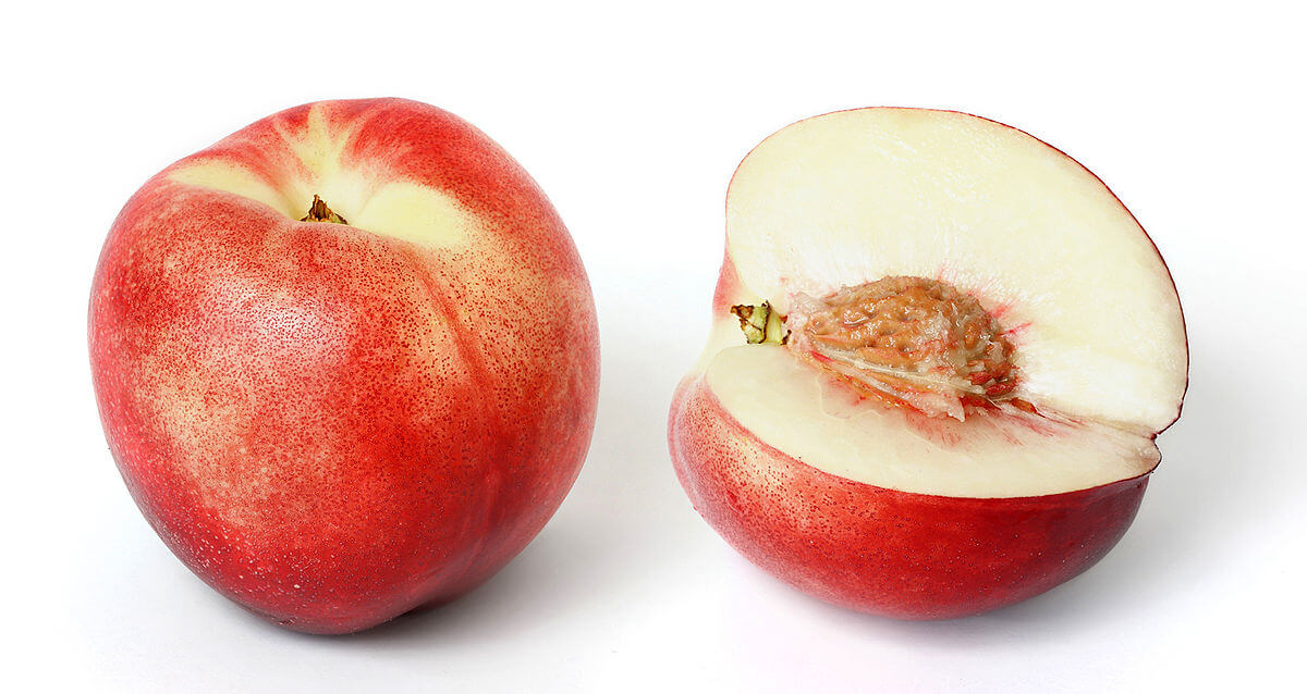1200px-white_nectarine_and_cross_section02_edit