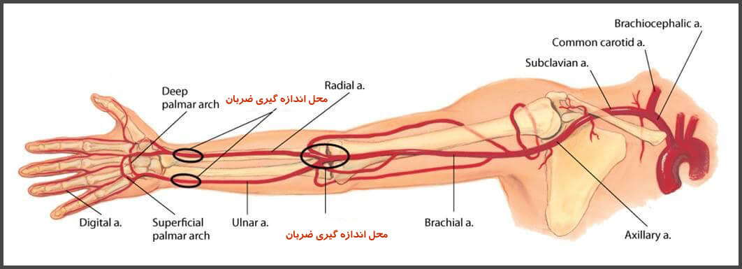 فشار خون www.howcanu.com